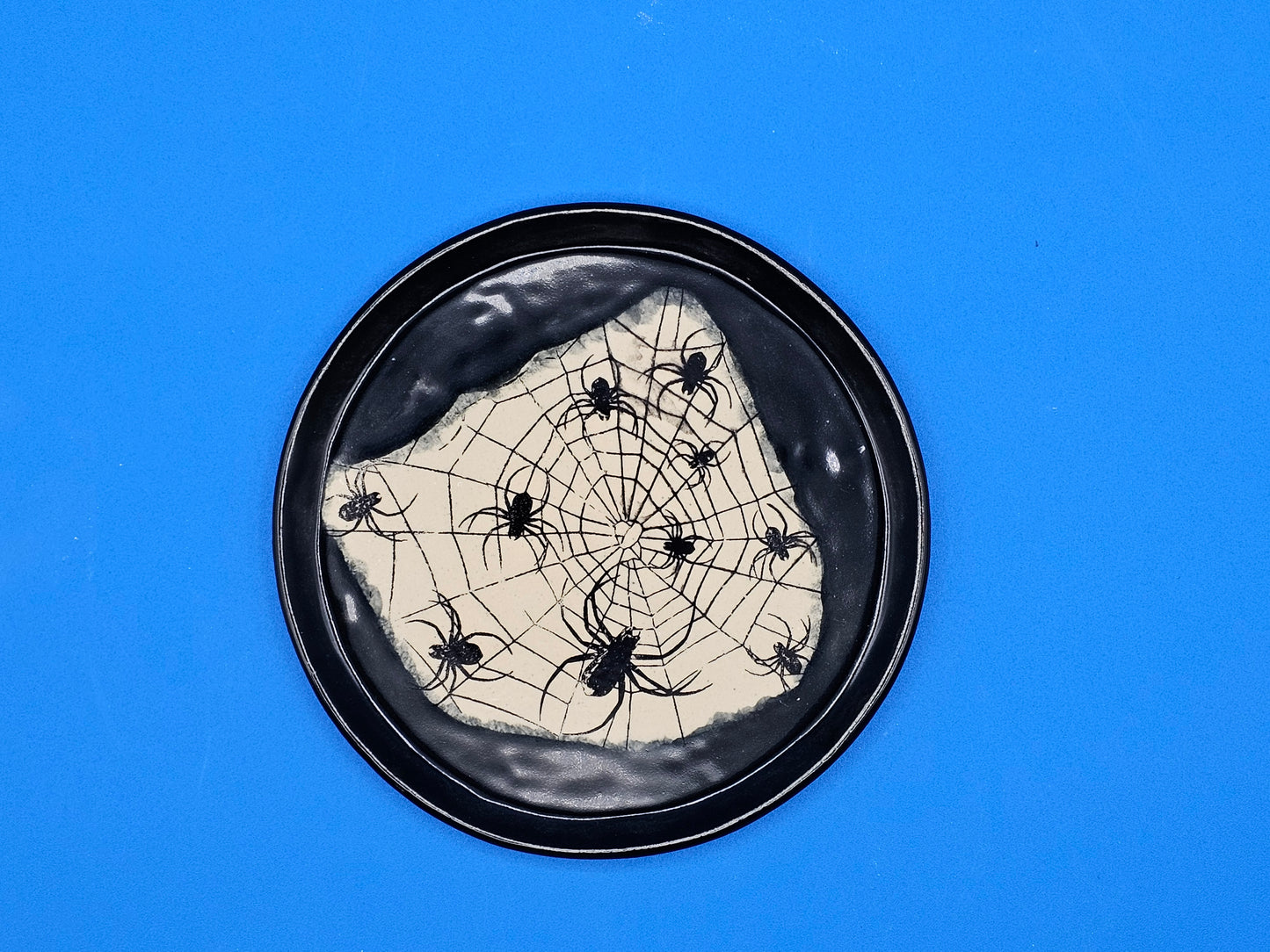 Spider Web Peek-a-boo Plates